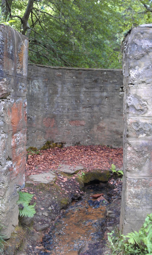 Culloden Wood St Marys Well